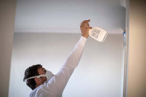 Best Mold Damage Repair  in Ramseur, NC