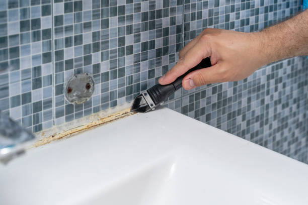 Best Mold Remediation  in Ramseur, NC