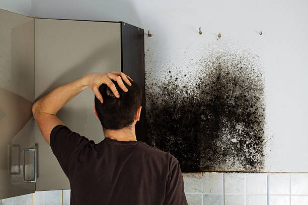 Best Office Mold Removal Services  in Ramseur, NC